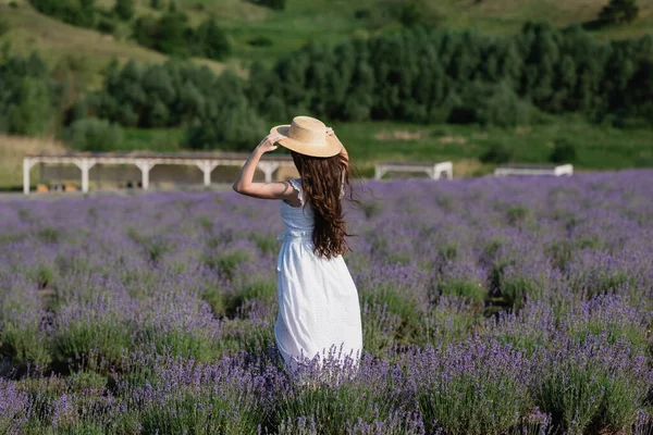 Back View Brunette Woman Straw Hat White Dress Lavender Field — Foto de Stock