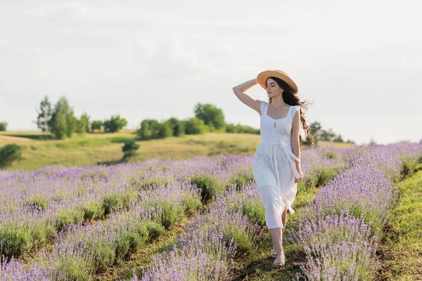 Full Length Woman Straw Hat White Dress Walking Lavender Field — Foto de Stock