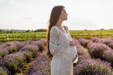 side view of pregnant woman in dress in field with blossoming lavender