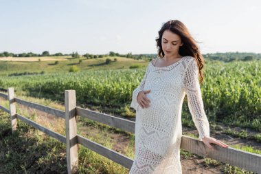 brunette pregnant woman standing at wooden fence in field