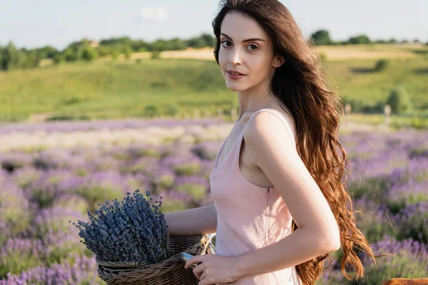 Long Haired Woman Lavender Flowers Looking Camera Outdoors — Fotografia de Stock