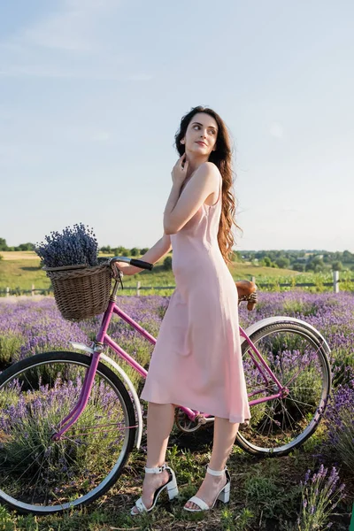 Brunette Woman Bike Lavender Wicker Basket Looking Away Outdoors — Zdjęcie stockowe