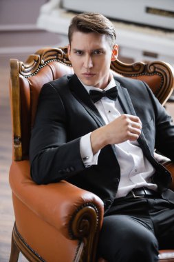 Portrait of elegant man in suit looking at camera while sitting on leather armchair at home  clipart