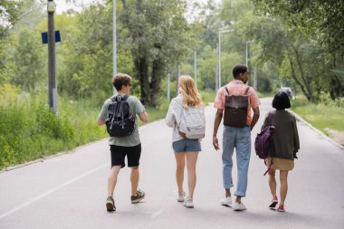 back view of multicultural friends with backpacks walking on countryside road