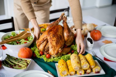Bayramlık Şükran Günü yemeği için kızarmış mısır ve sebze salatası yanında geleneksel hindi servisi yapan kadının kısmi görüntüsü