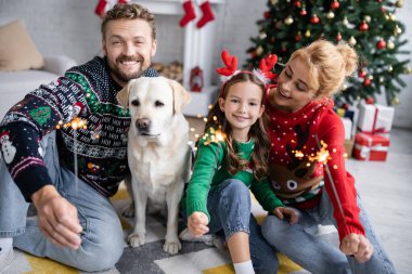 Yeni yıl süveterleri içinde neşeli bir aile labrador yakınlarında maytap tutuyor. 
