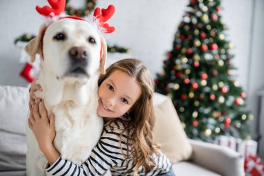 Gülümseyen kız Labrador 'a Noel bandıyla sarılıyor ve oturma odasında kameraya bakıyor. 