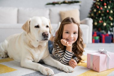 Gülümseyen çocuk, Chiftmas 'ın yanındaki kameraya bakıyor ve Labrador evde halının üzerinde. 