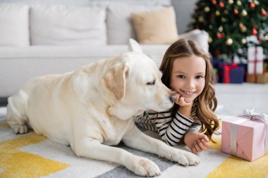 Labrador gülümseyen çocuğun yanında yatıyor ve evdeki halının üzerinde Noel hediyesi var. 