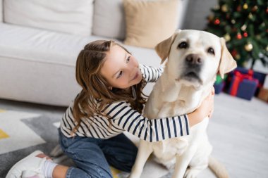 Gülümseyen kız yılbaşı boyunca evde bulanık Labrador 'a sarılıyor. 