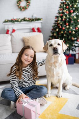 Evde yeni yıl boyunca elinde hediye kutusu ve labrador tutan bir çocuk. 