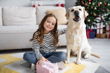 Çocuk elinde yeni yıl hediyesi ve oturma odasında Labrador 'a sarılıyor. 