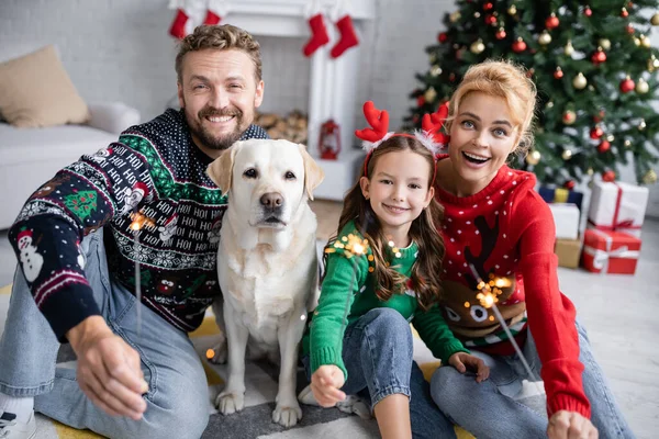 Família Positiva Suéteres Segurando Sparklers Perto Labrador Casa — Fotografia de Stock