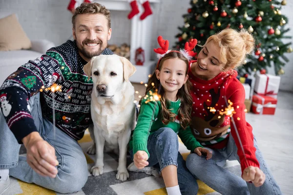 Glada Familj Nyår Tröjor Som Håller Tomtebloss Nära Labrador Hemma — Stockfoto