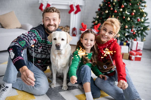 Familia Con Labrador Sosteniendo Bengalas Durante Celebración Del Año Nuevo —  Fotos de Stock