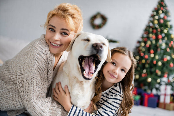 Женщина и дочь гладят лабрадора в течение нового года дома 