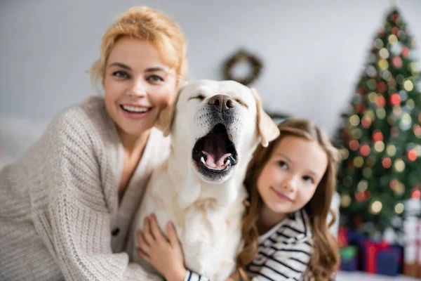 Labrador Bostezando Cerca Borrosa Madre Niña Casa — Foto de Stock