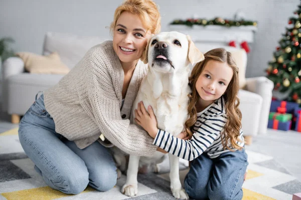 Familia Positiva Abrazando Labrador Sobresaliendo Lengua Durante Navidad Casa —  Fotos de Stock