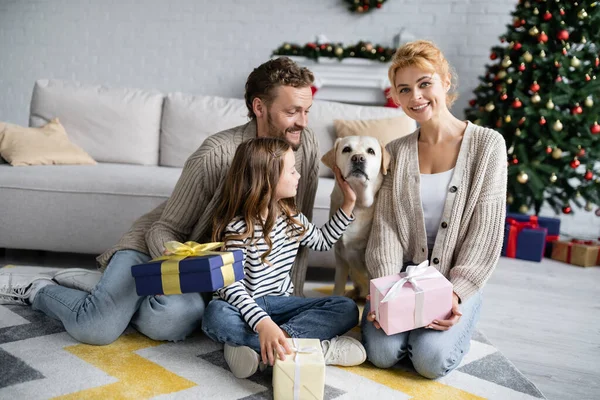 Lächelnde Frau Mit Weihnachtsgeschenk Während Familie Labrador Hause Streichelt — Stockfoto