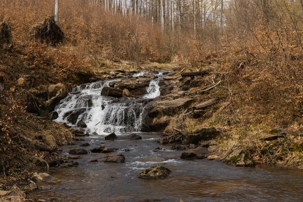 Stones in mountain creek near forest in autumn — Stock Photo