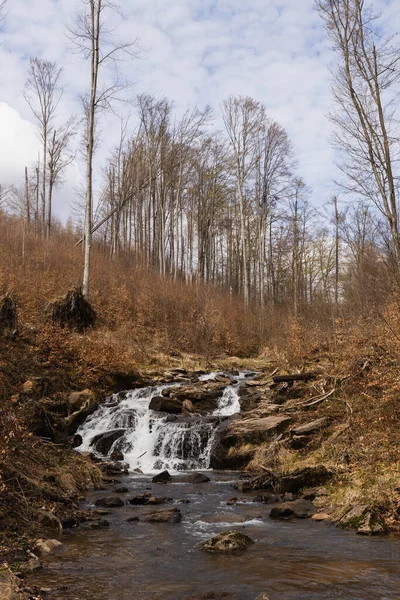 Río en el bosque de montaña en otoño - foto de stock