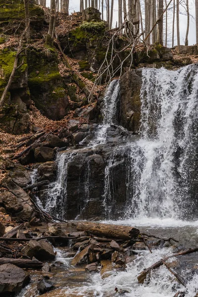 Mountain creek near stones and moss in forest — Stock Photo