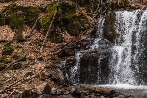 Stones and dry leaves on ground near mountain creek — Photo de stock