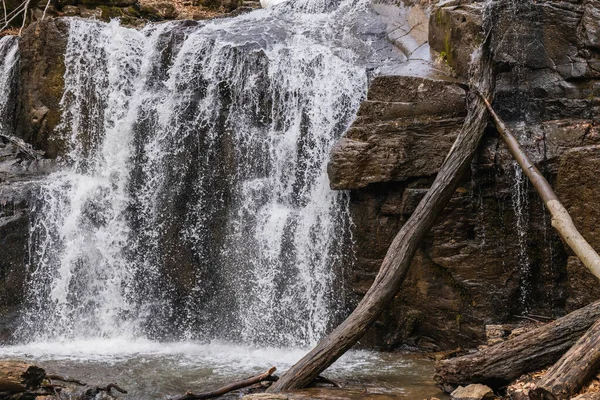 Mountain river near wooden logs in forest - foto de stock