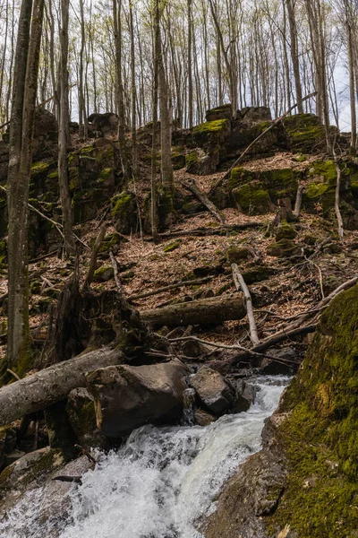 Vista de bajo ángulo del río de montaña cerca de piedras en musgo en el bosque - foto de stock