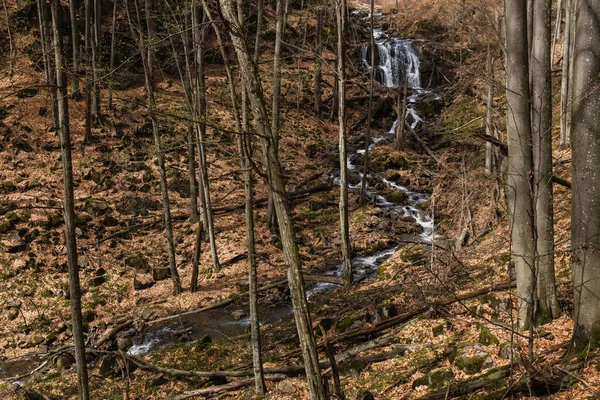 Ruisseau et bois en forêt de montagne en automne — Photo de stock