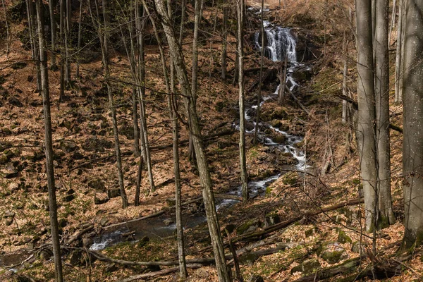 Creek and woods in mountain forest in autumn — Stock Photo