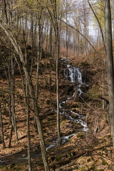 Bosque y río en la montaña en otoño temporada - foto de stock