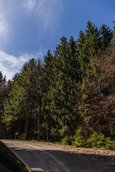 Forest and empty road with sky at background — стоковое фото