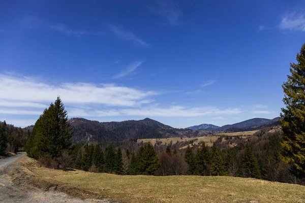 Montañas con árboles y cielo azul con nubes al fondo - foto de stock