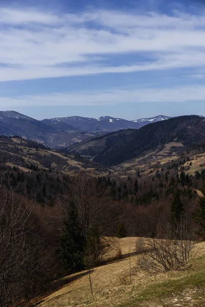 Forest on hills of mountains with blue sky at background — Stock Photo