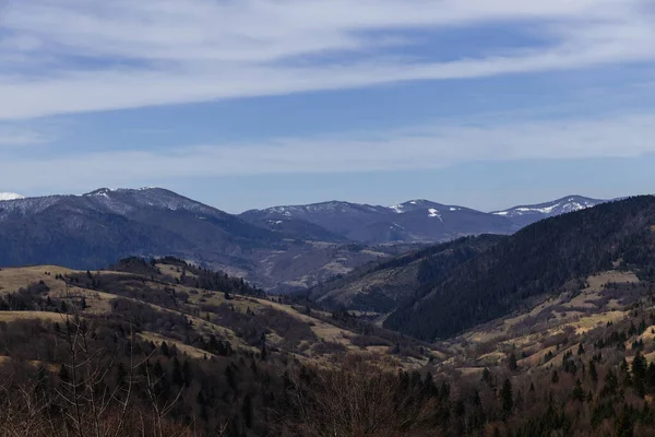 Szenische Ansicht von Fichten auf Hügeln und Bergen im Hintergrund — Stockfoto