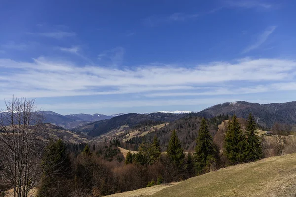 Arbres sur prairie avec montagnes et ciel en arrière-plan — Photo de stock