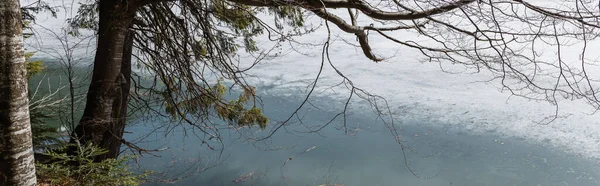 Lago com neve perto de árvores na floresta, bandeira — Fotografia de Stock