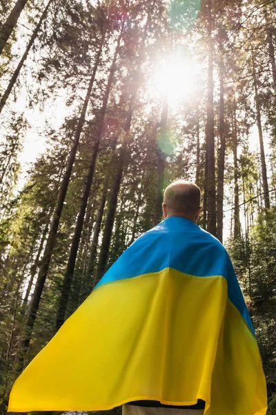 Vue arrière de l'homme en drapeau ukrainien debout dans le plus sûr avec la lumière du soleil — Photo de stock