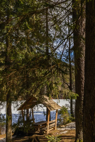 Wooden alcove in spruce forest near lake — Stock Photo