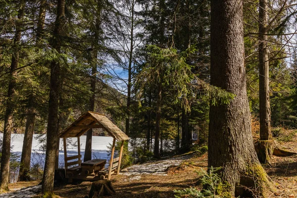 Wooden alcove near spruce trees and lake in spring — стоковое фото