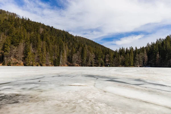 Lake with ice and mountains with spruce forest at background — Stock Photo