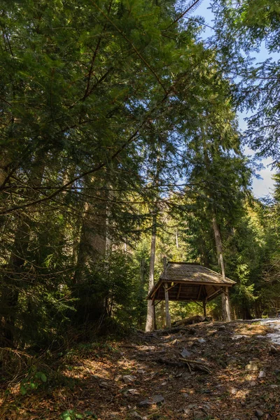 Vue à angle bas de l'alcôve en bois sur la colline en forêt au printemps — Photo de stock