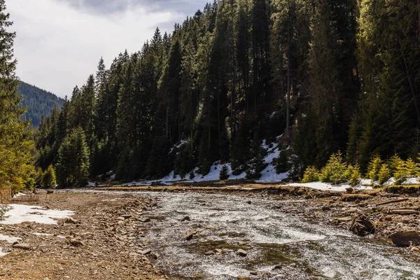 Fluss in der Nähe von Bergwald im Frühling — Stockfoto