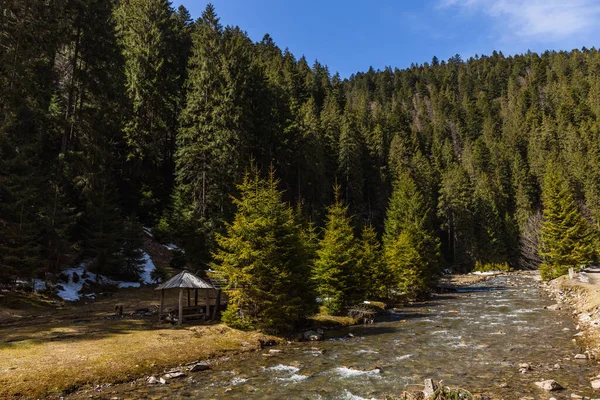 Fiume vicino alcova e bosco di abeti rossi in montagna — Foto stock