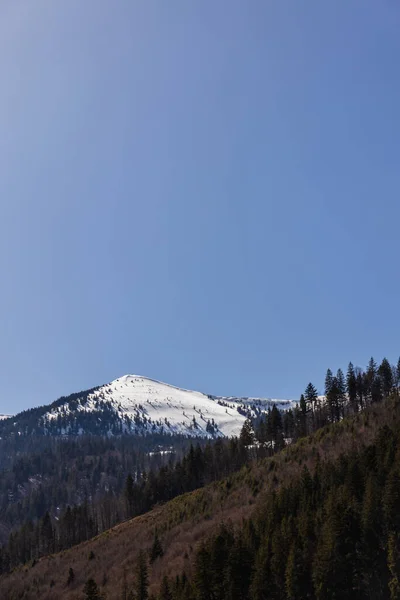 Vue panoramique de la montagne avec neige et ciel bleu en arrière-plan — Stock Photo