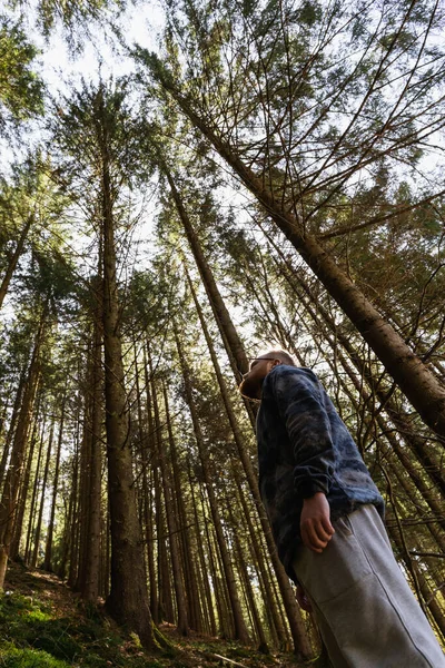 Low angle view of man standing in spruce forest — Photo de stock