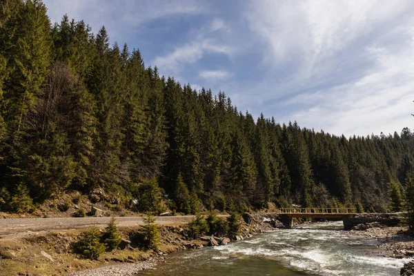 Road near river with bridge and coniferous forest — Photo de stock