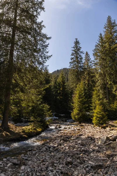 Stones on shore near river and mountain forest — Stock Photo