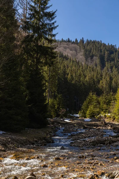 Gebirgsfluss mit Sonnenlicht und Wald am Berg bei Tageslicht — Stockfoto